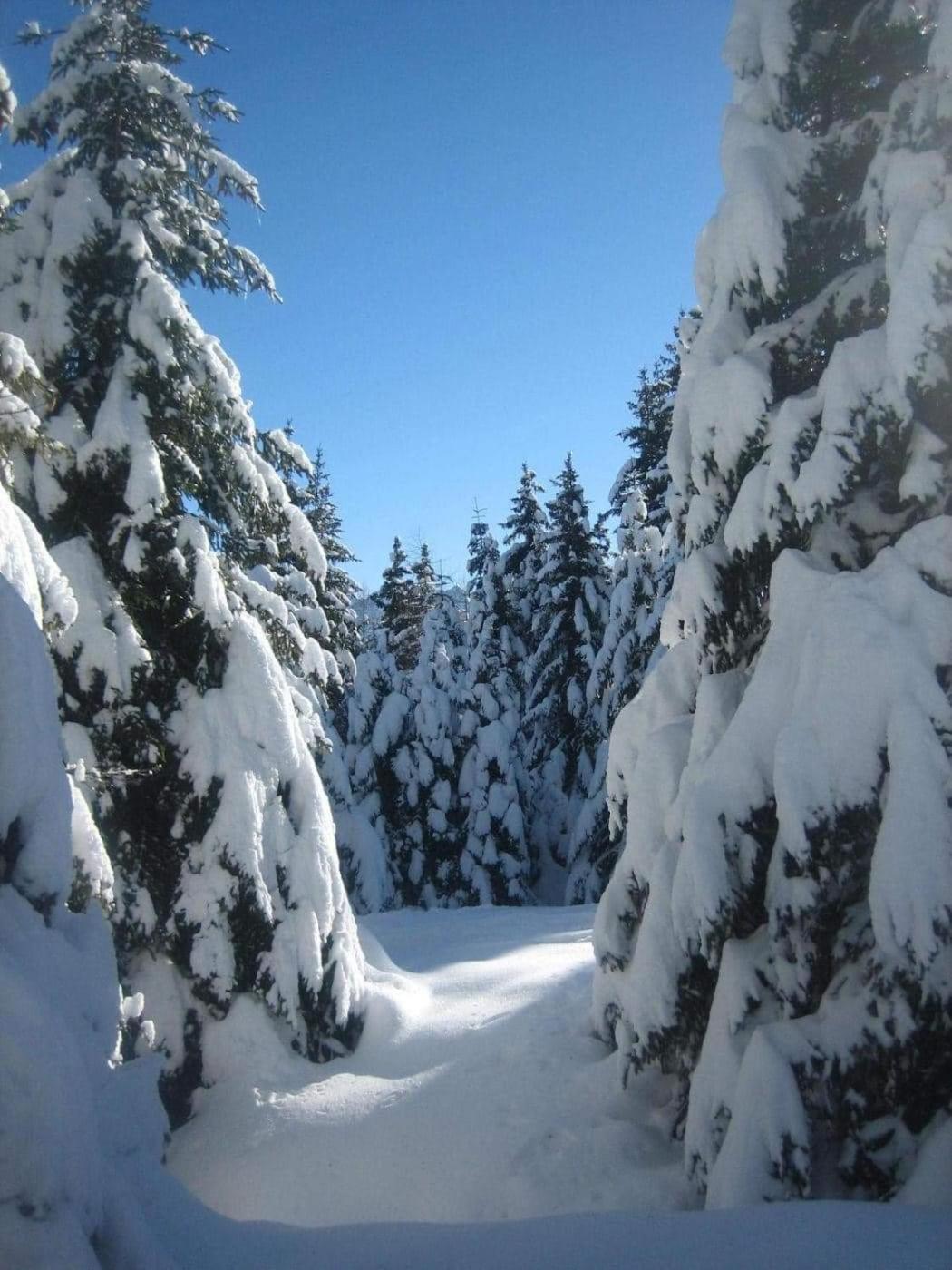 Suite Chalet Ponte Di Legno Bilik gambar